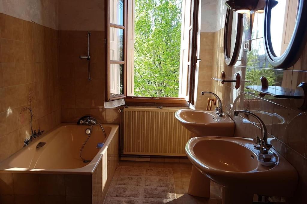 Maison De Famille Avec Parc Arbore Montauban Exteriör bild