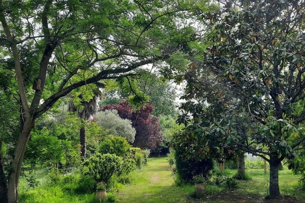 Maison De Famille Avec Parc Arbore Montauban Exteriör bild